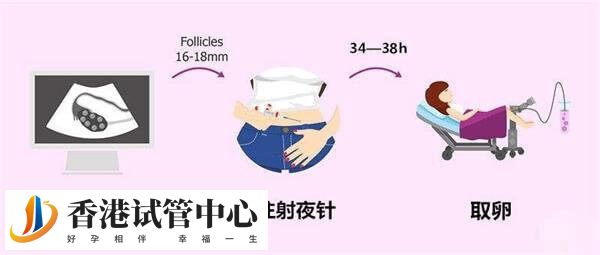 多個卵泡長到10mm可打夜針